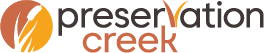 Asset 1