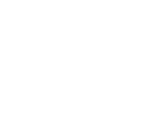 home-icon-home-lots-300x250